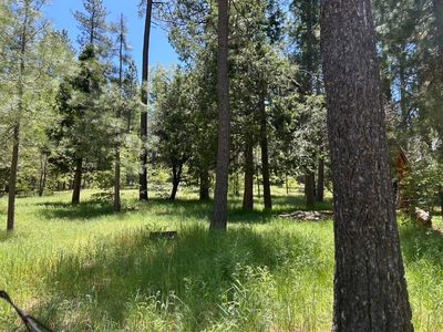 0 Tollgate Rd, Idyllwild, CA, 92549