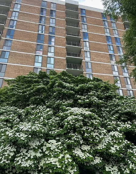 2300 Pimmit Dr #1103 — Photo 2