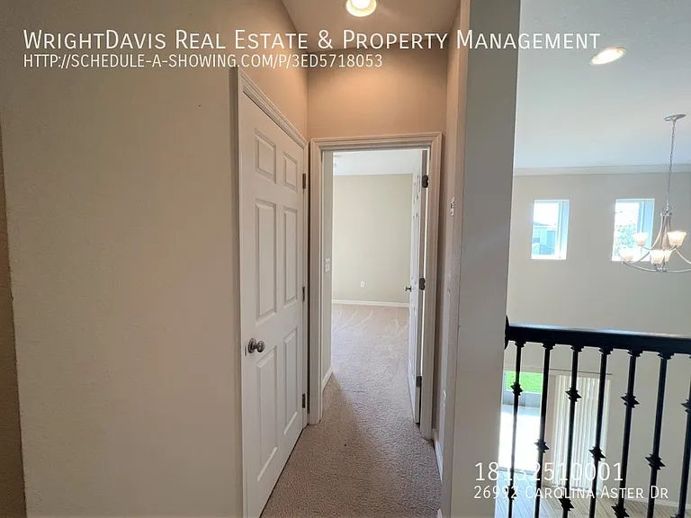26992 Carolina Aster Dr — Photo 29