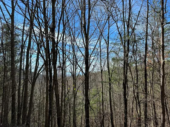 5 Ali Dr Lot 5, Hayesville, NC 28904
