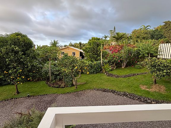 nice backyard with fruit trees and bbq.