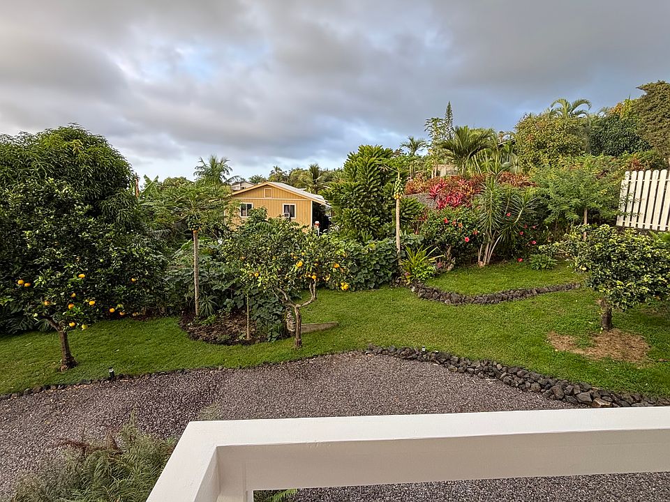 nice backyard with fruit trees and bbq.