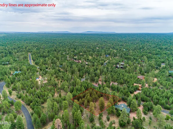 1598 PINE CANYON Drive #36, Happy Jack, AZ 86024