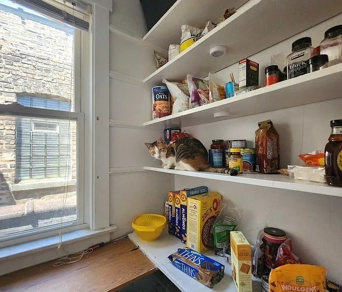 3523 W Fullerton Ave #2F — Photo 8