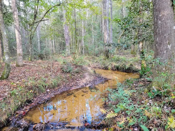 Jones Rd, Willis, TX 77378