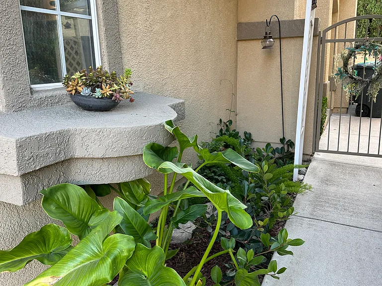 24482 Sunshine Dr — Photo 3