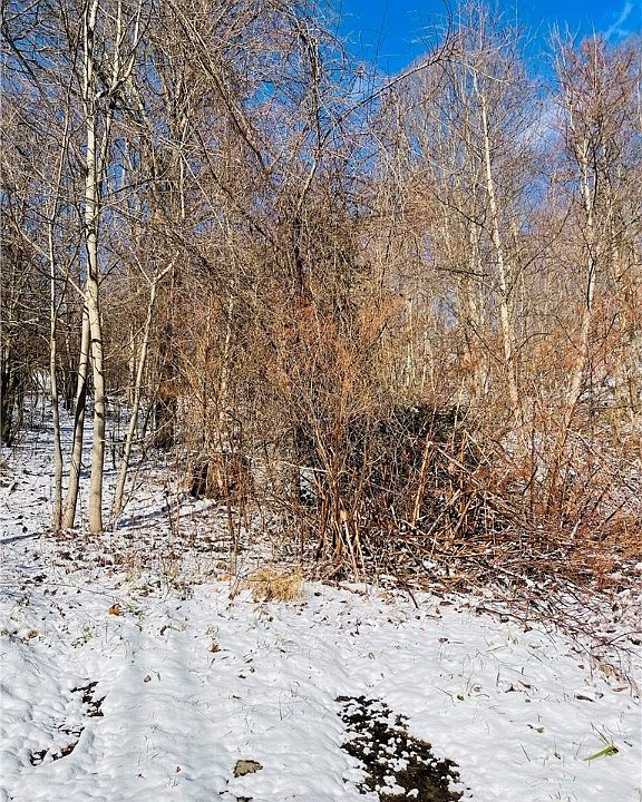 2nd image of 0 Walnut Hill Rd