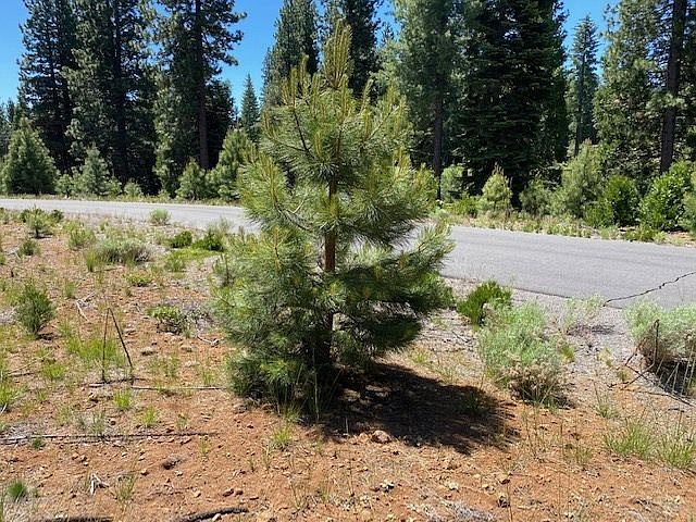 2nd image of 147 Treetop Cir