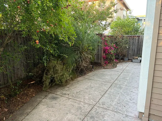 5838 Flora Cmn — Photo 8