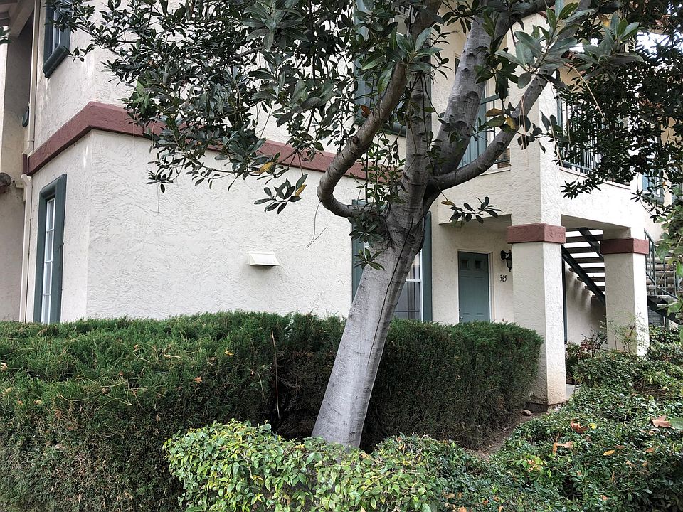 1st image of 10915 Sabre Hill Dr Unit 365