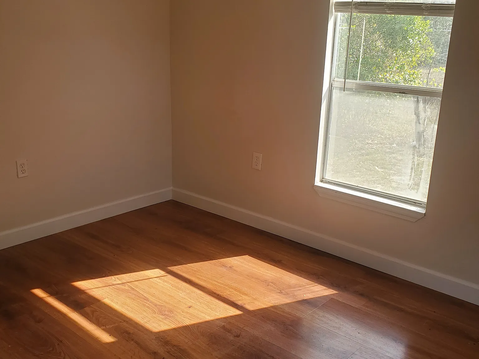 1 bed, 530 sqft, $1,200 — Photo 3