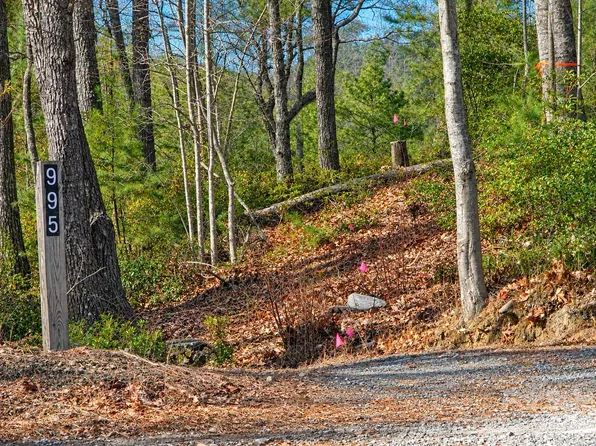 43 Deer Crossing Ln #43, Ferguson, NC 28624
