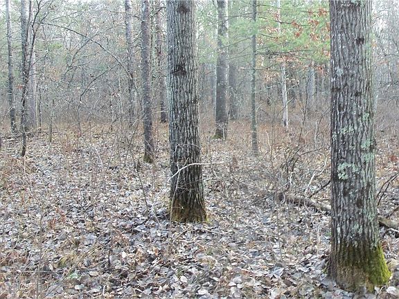 3rd image of Lot 2 Gilmore Drive