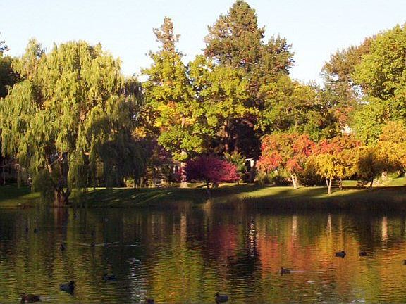 Located on Cannon Hill Park