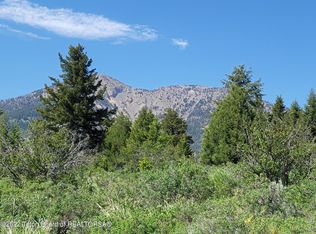 Lot30b3 Cutthroat Run, Irwin, ID 83428