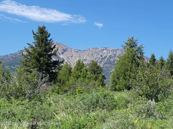 Lot30b3 Cutthroat Run, Irwin, ID 83428