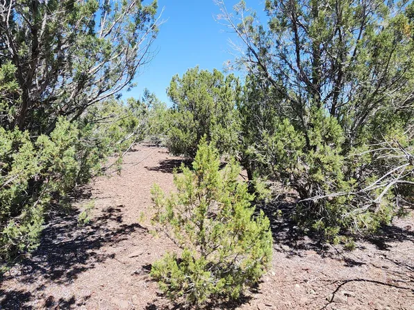 3085 N Randall Blvd, Williams, AZ 86046