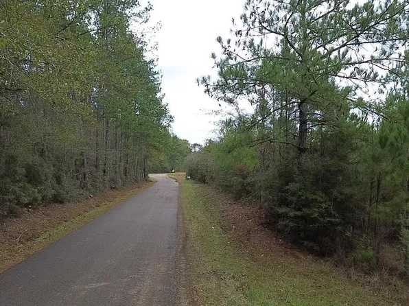 Terrell Rd, Greensburg, LA 70441