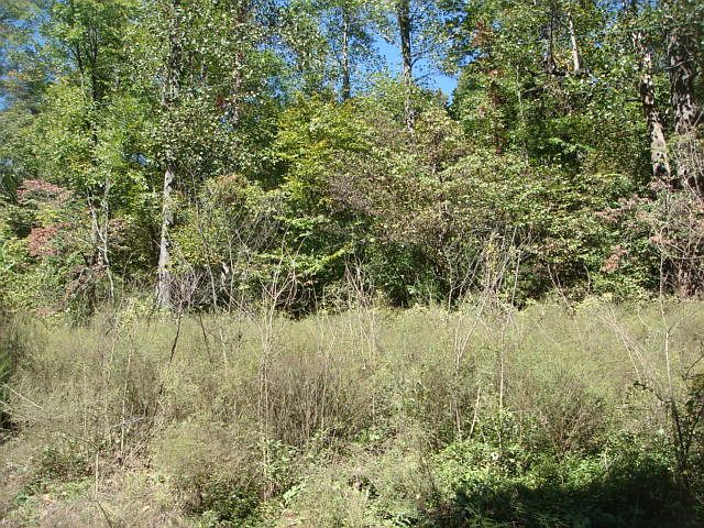 2nd image of 1046 Pounding Branch Rd