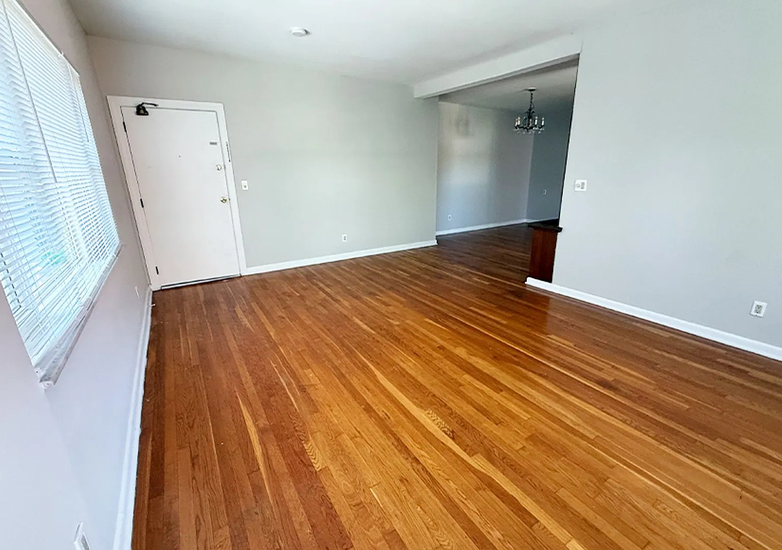 McAlpin 353 — Photo 4
