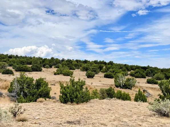 Rio Cucharas 3 #536 & 535, Walsenburg, CO 81089