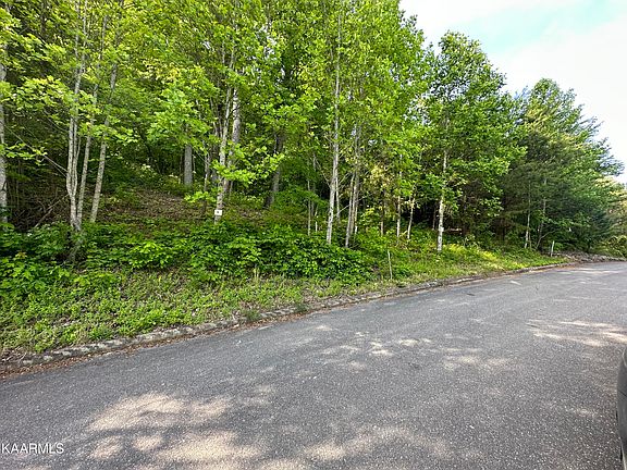 2nd image of Mountain Grove Ln