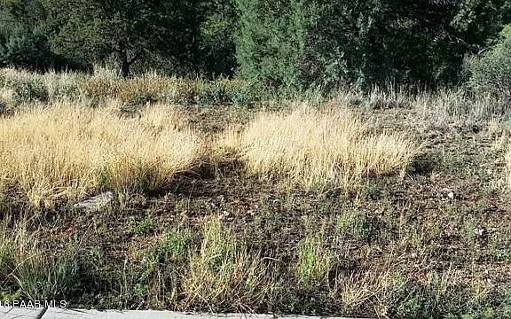 2nd image of 221 Starpine Pl