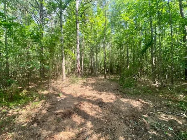 0 Primitive Dr SE, Ruth, MS 39662