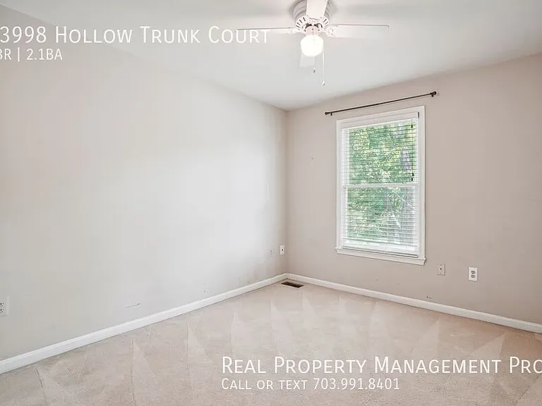 13998 Hollow Trunk Ct — Photo 22