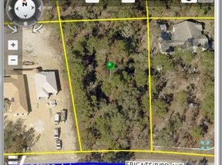 11115 Frigate Bird Ave, Weeki Wachee, FL 34613