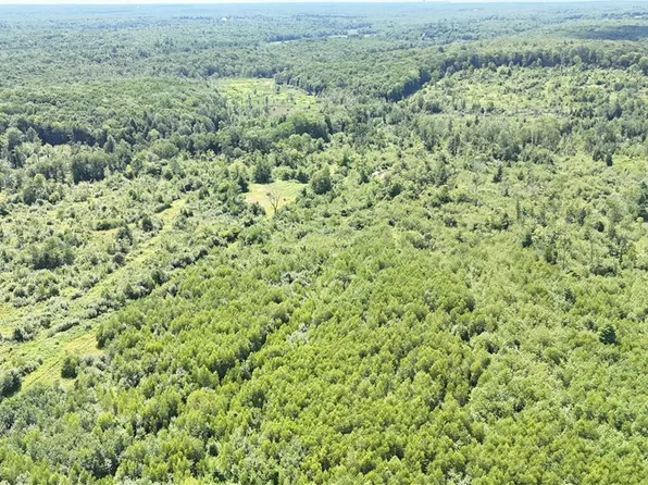 S Albion, Etna, NY 13062