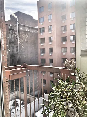 Rented by Jack B Shapiro | media 11