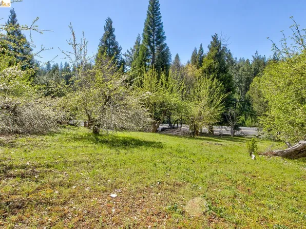 1869 Highway 4, Arnold, CA 95223