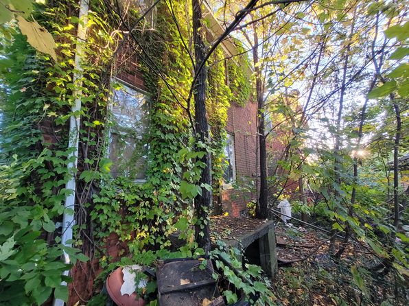 detroit-michigan-88294099 picture