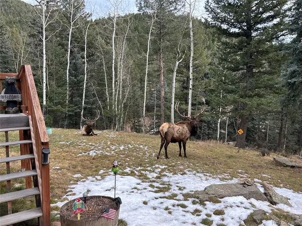 385 Snyder Mountain Road, Evergreen, CO 80439