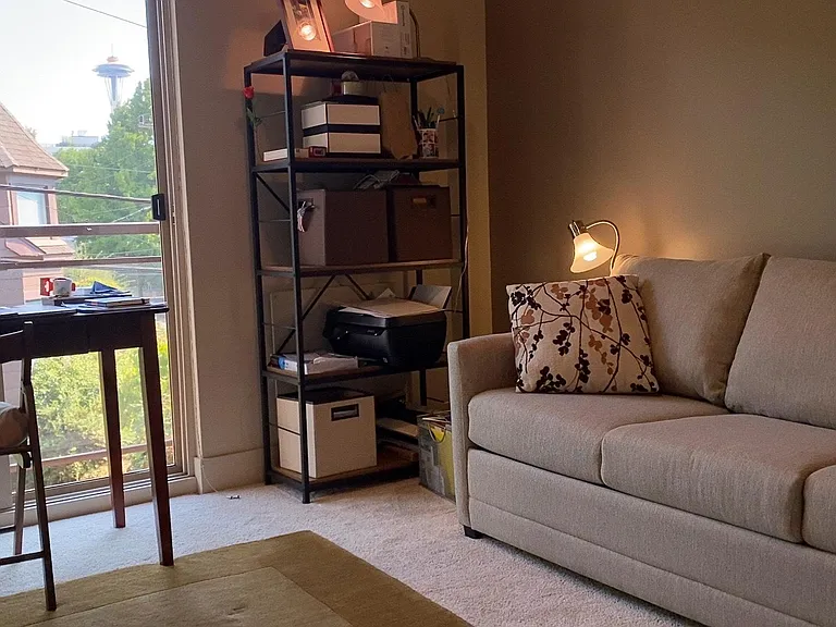 bedroom 2, sofa bed.