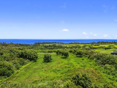 53-338 Kapanaia Rd Lot 15, Kapaau, HI, 96755