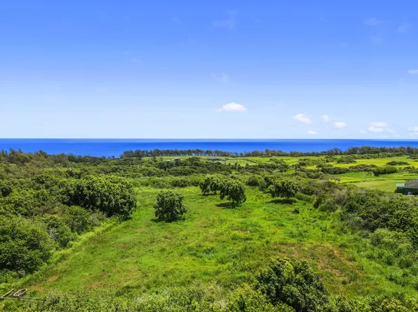 53-338 Kapanaia Rd Lot 15, Kapaau, HI 96755