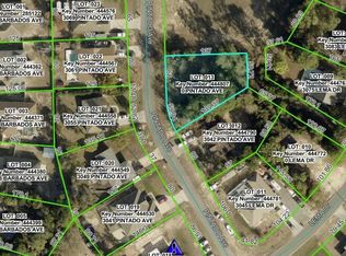 3060 Pintado Ave, Spring Hill, FL 34609