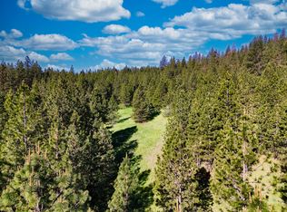 39300 Porcupine Bay Rd N, Davenport, WA 99122