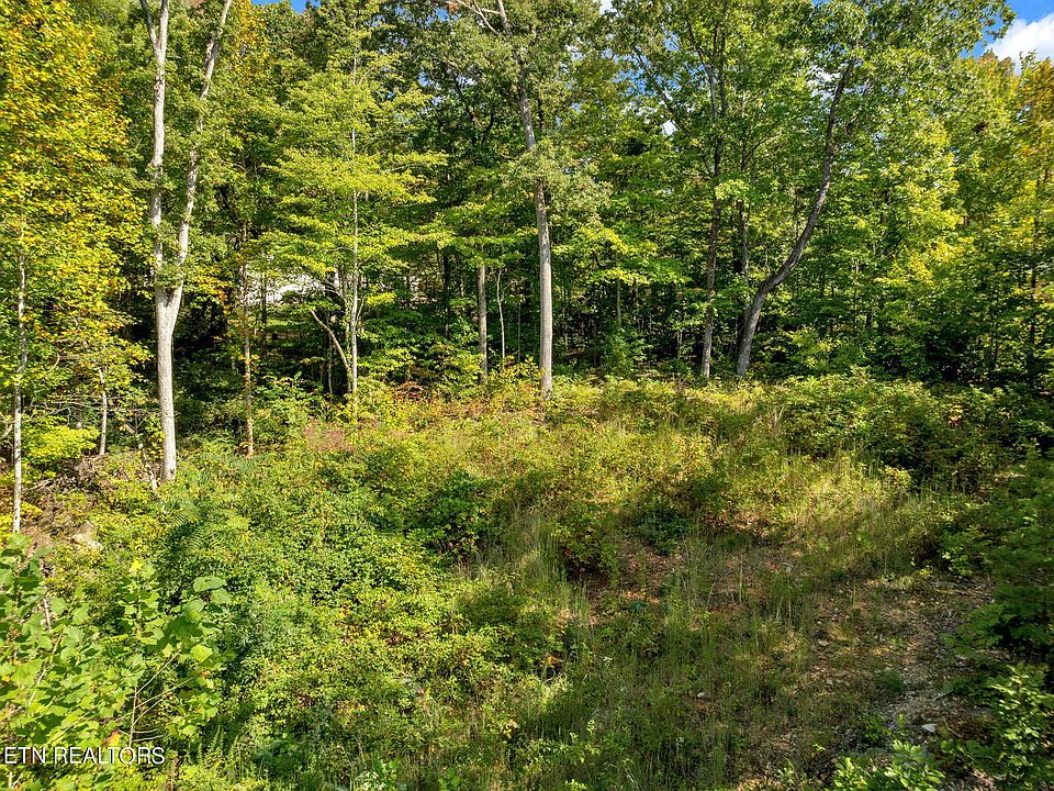1st image of 5317 Oak Glade Ln