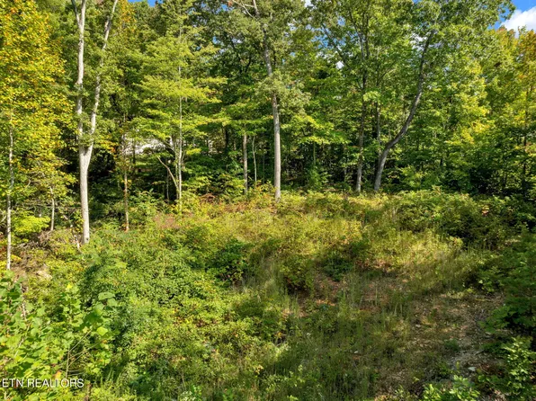 5317 Oak Glade Ln, Knoxville, TN 37918