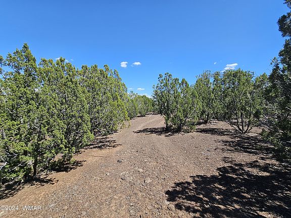 2nd image of 1259 Ranch Rd