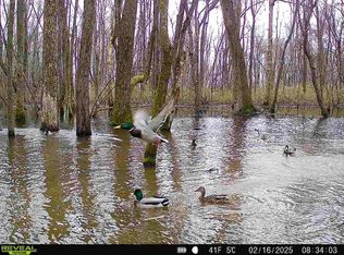 483 Phillips Rd #131, Marvell, AR 72366