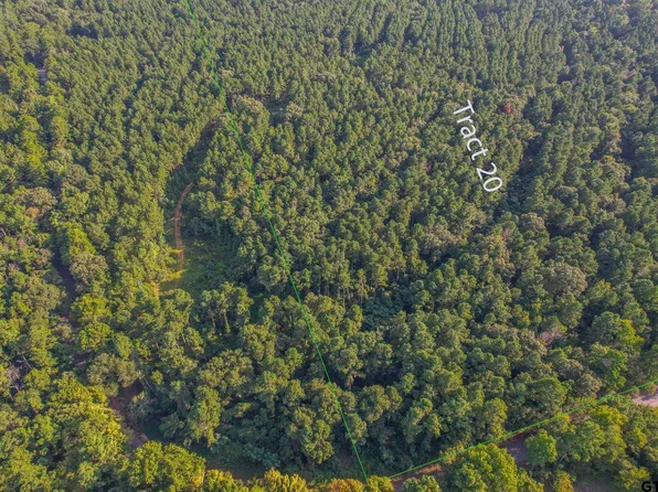 TRACT 20 County Road 4224, Frankston, TX 75763