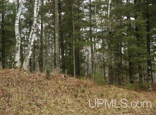 Tbd Upper Pine Creek Rd, Iron Mountain, MI 49801