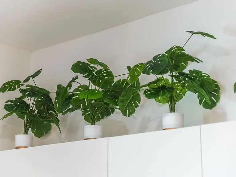 W Green St — Photo 16