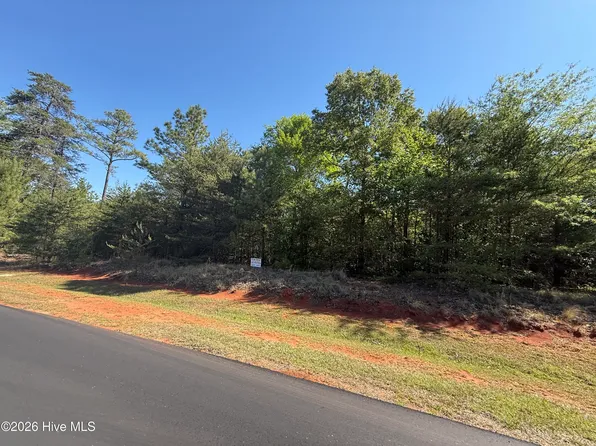 176 Lakeview Pass LOT 94, Rockingham, NC 28379