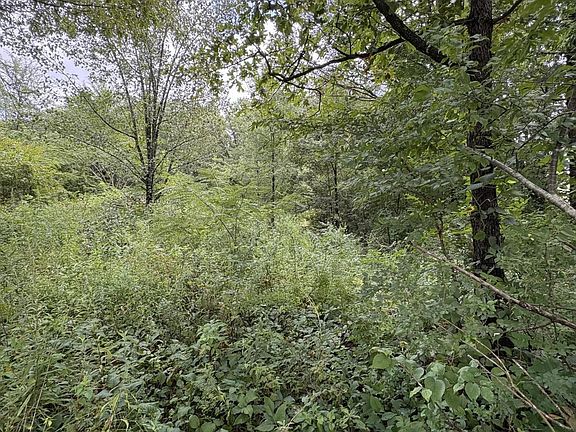 5th image of 34 Midway Rd