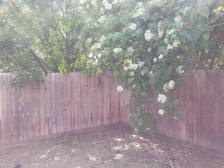 1910 Wildrose Dr — Photo 19